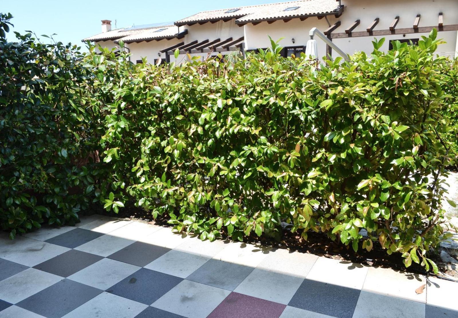 Le Case Del Carmine Con Giardino E Parcheggio A Tropea Bagian luar foto